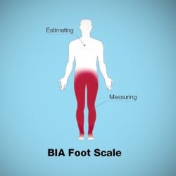 BIA Foot Scales