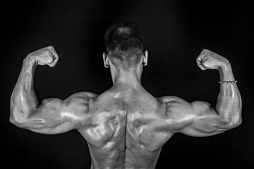 4 Day Split Workout Routine For Muscle Strength Online Personal 