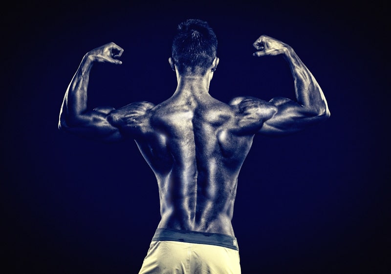The Best Gym Workout Plans for Getting Ripped